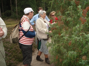 LUNEBURGER HEIDE 24TM 28082011 039