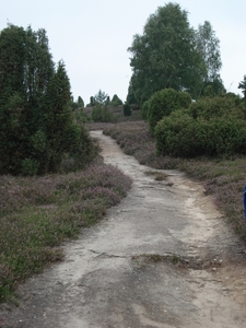 LUNEBURGER HEIDE 24TM 28082011 047