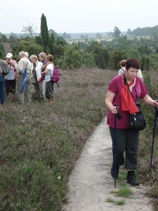 LUNEBURGER HEIDE 24TM 28082011 052