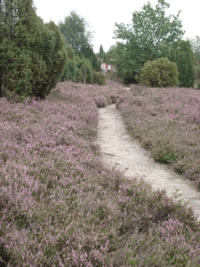 LUNEBURGER HEIDE 24TM 28082011 055