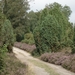 LUNEBURGER HEIDE 24TM 28082011 059