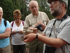 LUNEBURGER HEIDE 24TM 28082011 065