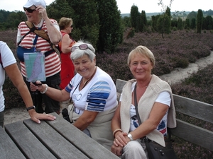 LUNEBURGER HEIDE 24TM 28082011 066