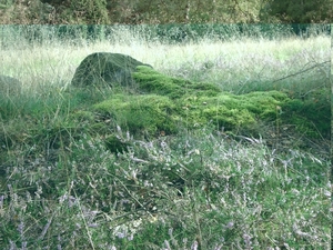 LUNEBURGER HEIDE 24TM 28082011 074