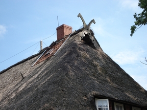 LUNEBURGER HEIDE 24TM 28082011 086