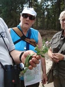 LUNEBURGER HEIDE 24TM 28082011 104