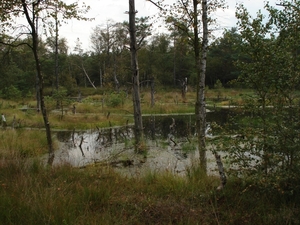 LUNEBURGER HEIDE 24TM 28082011 110