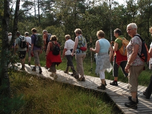 LUNEBURGER HEIDE 24TM 28082011 113