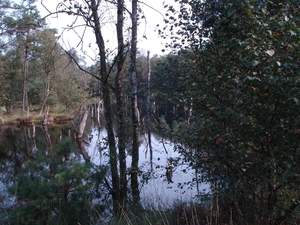 LUNEBURGER HEIDE 24TM 28082011 114