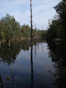 LUNEBURGER HEIDE 24TM 28082011 115