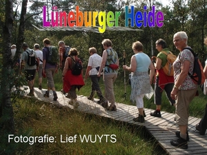 Luneburger Heide