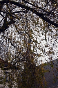 322_2011_12_IMG_3386
