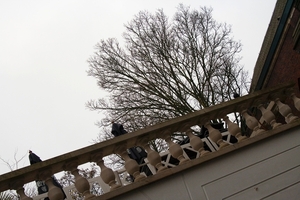 322_2011_12_IMG_3448