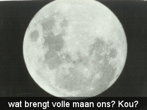 Afbeelding (4)