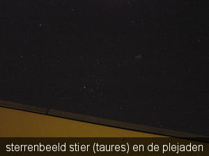 febru 2012 008