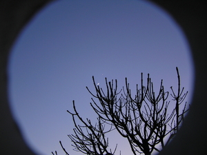 maart 2012 021