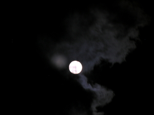 P6140033