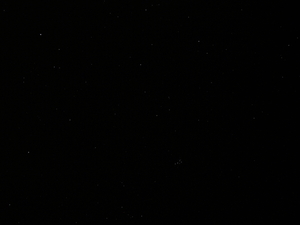 P1010019