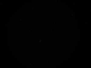P1010013