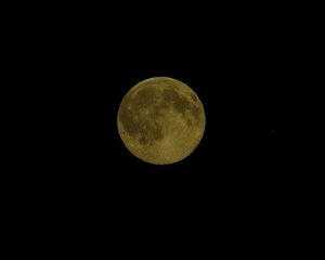 P7010043
