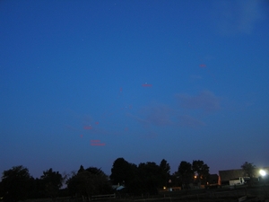 P7170015