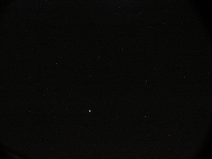 P5030002