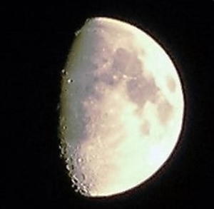 P8120031