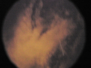 P2040003