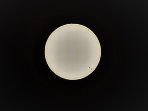 P4050019