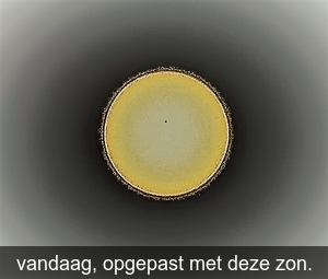 P6190044