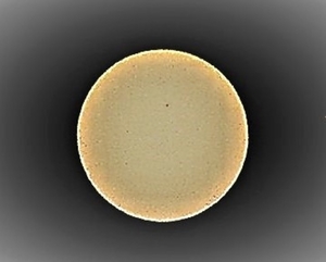 P6250017