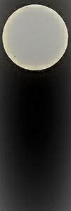 P7070006