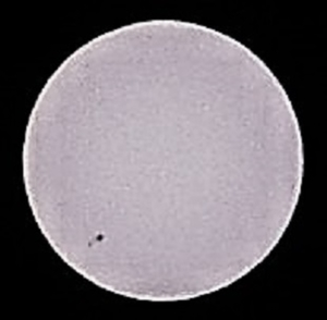 P7080008
