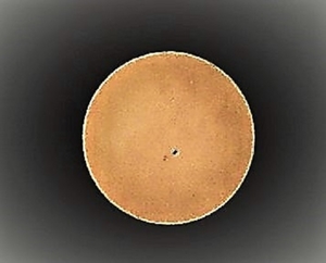 P7110017