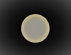 P8020011