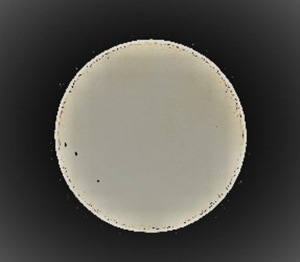 P8310042