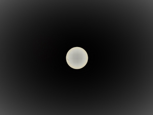 P8310043