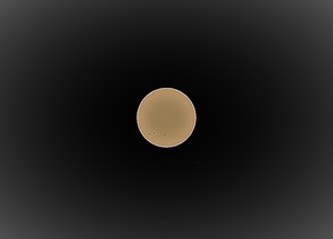 P9010018