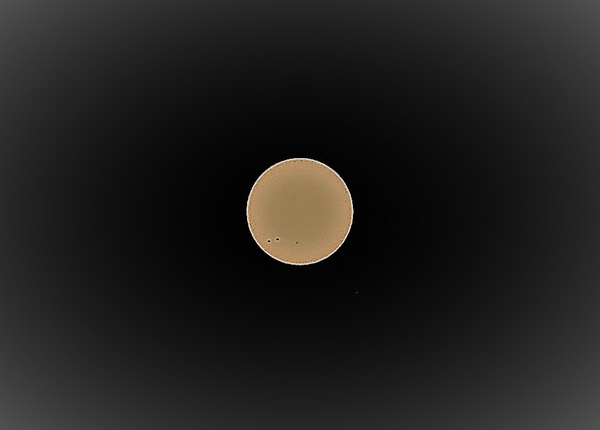 P9010018