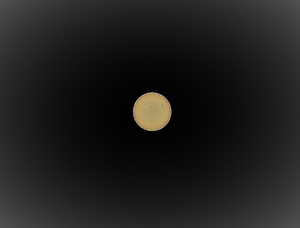 P9060009