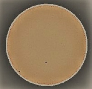 P9250021