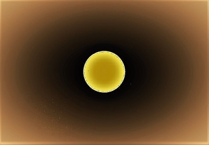 P4210006