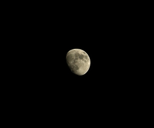 P3170007