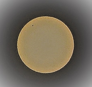 P4090050
