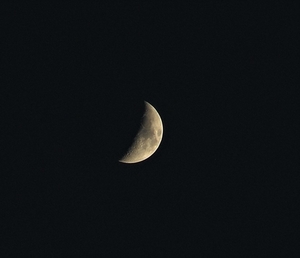 P4110016
