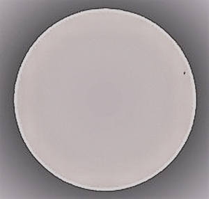 P4180025