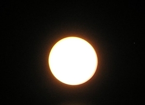 P4200057