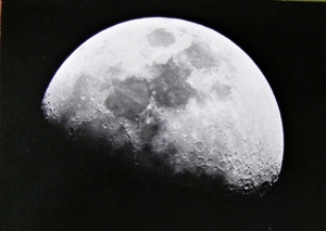 P8032047
