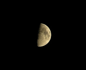 P5300026
