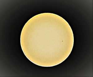 P7290011